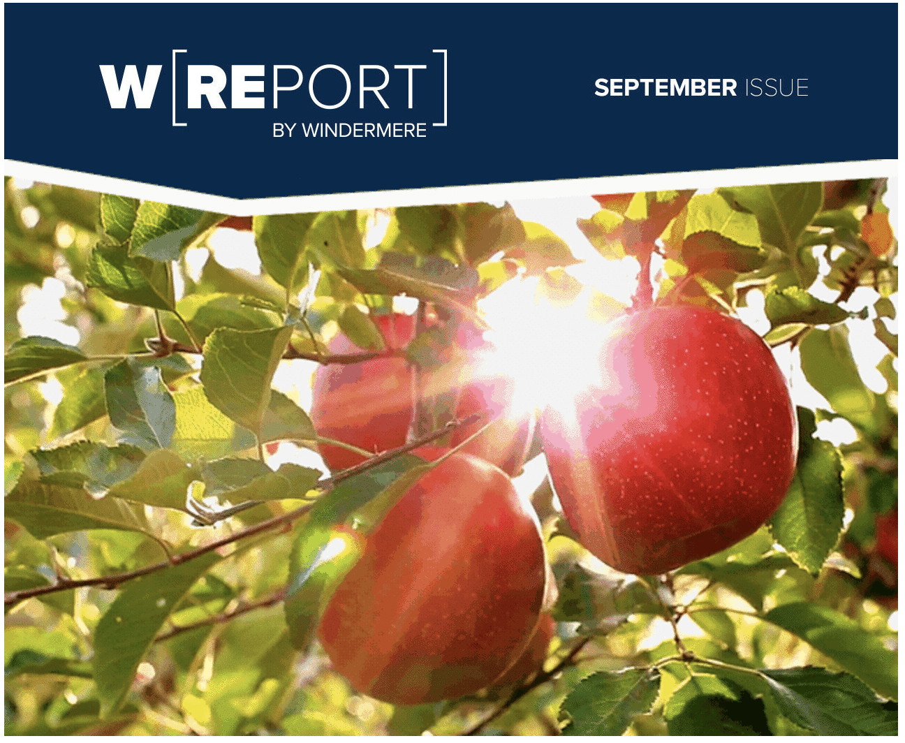 W Report September 2021