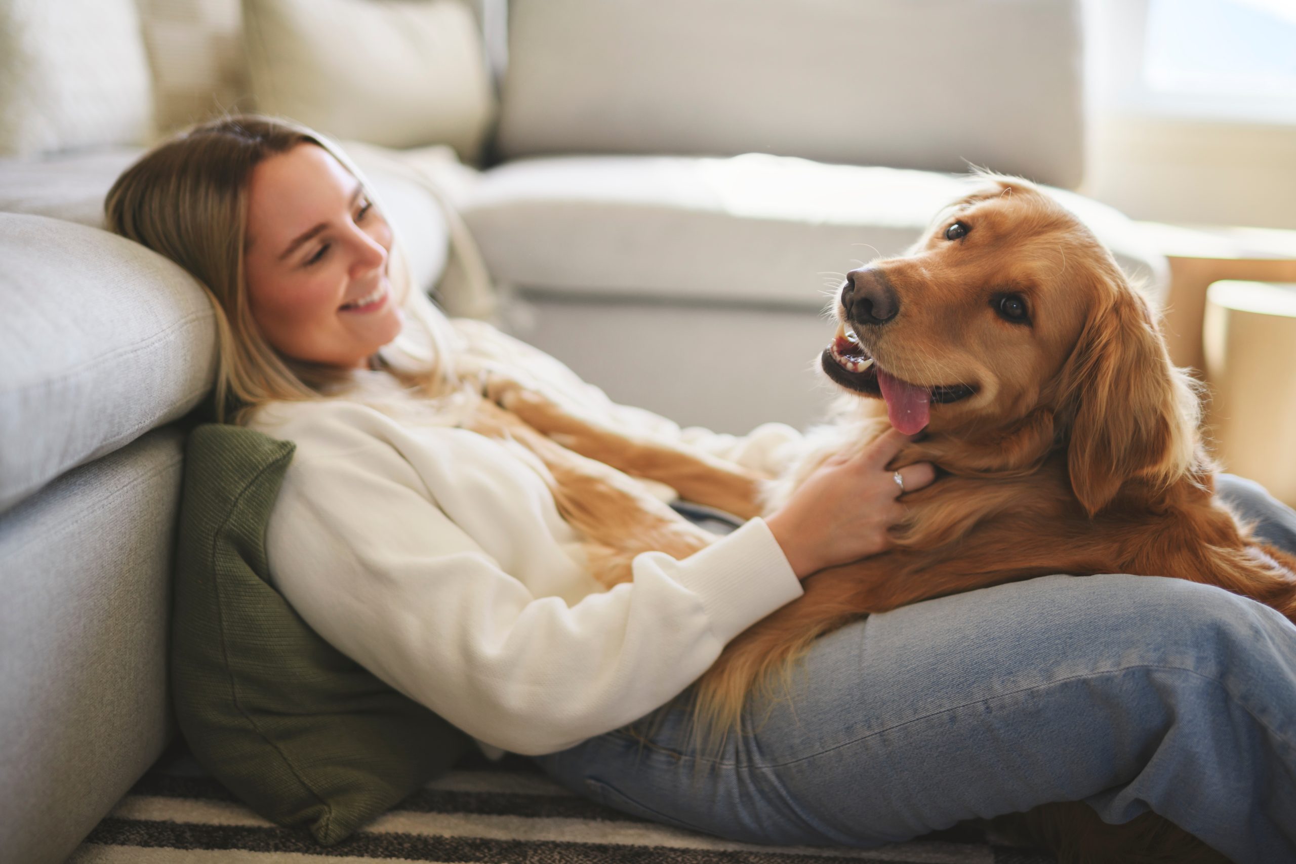 Pet Friendly Home Decor Ideas